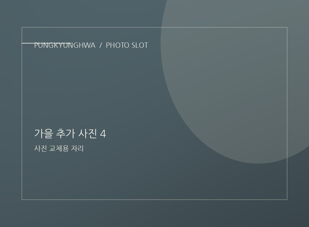 가을 추가 사진 2