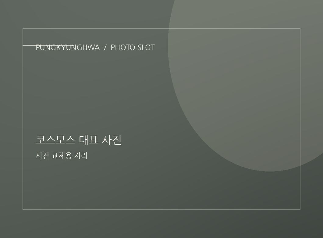 코스모스 사진 1