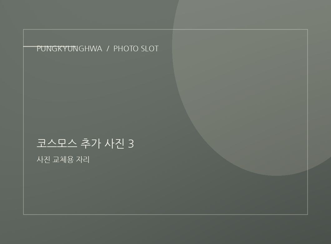코스모스 추가 사진 1