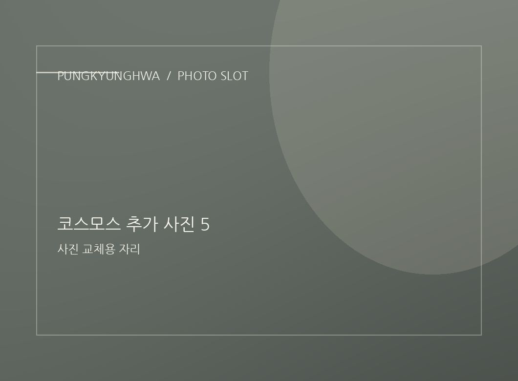 코스모스 추가 사진 3