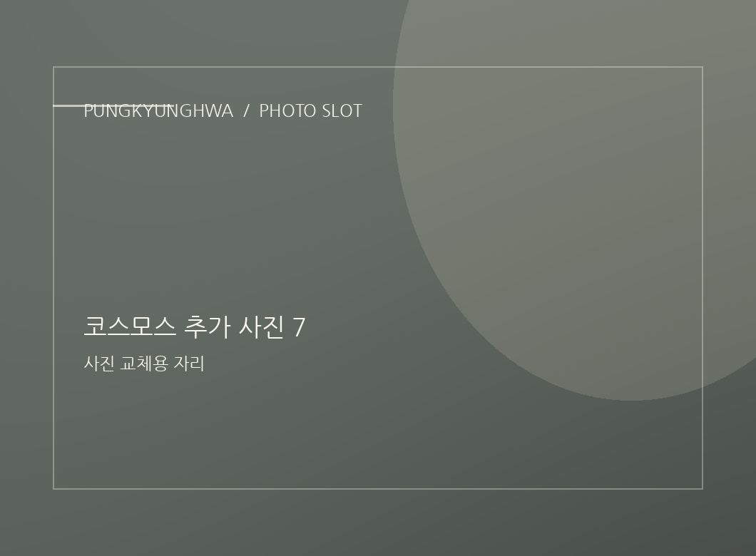 코스모스 추가 사진 5