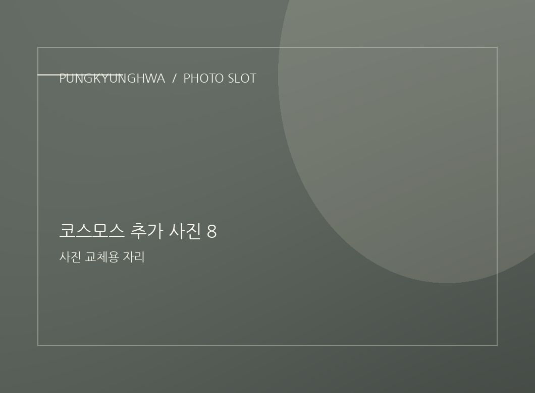 코스모스 추가 사진 6