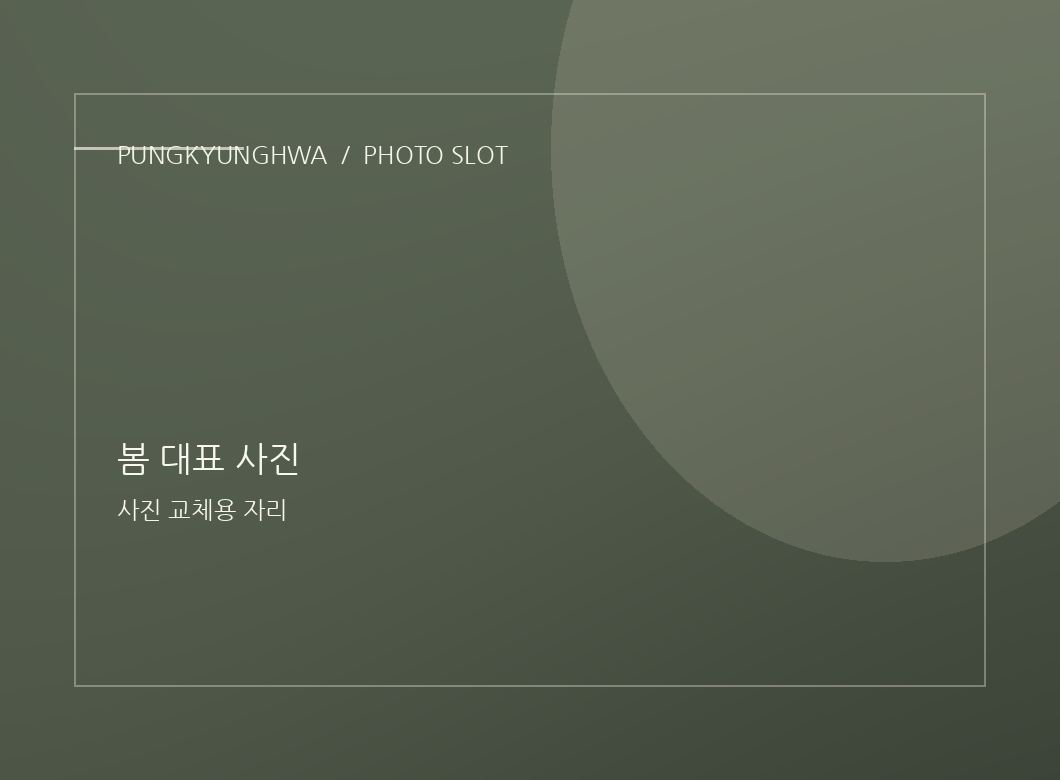 봄 사진 1