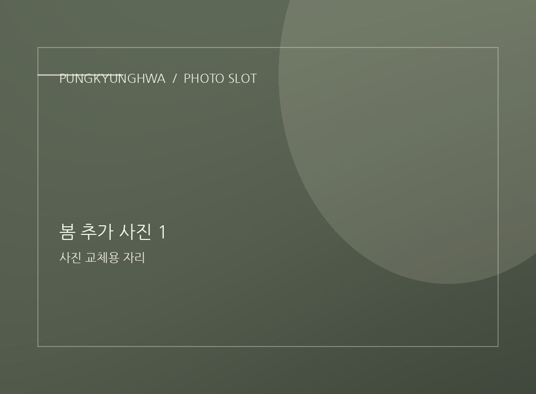 봄 사진 2