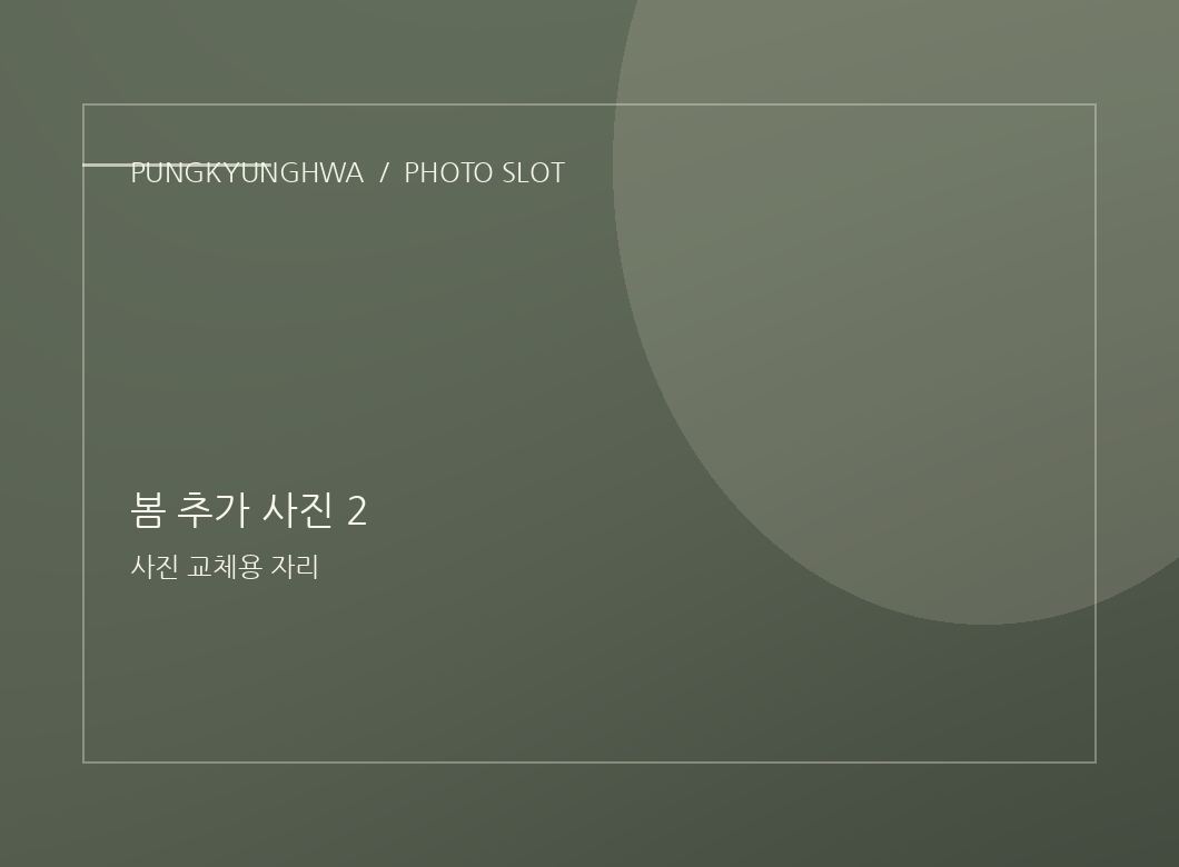 봄 사진 3