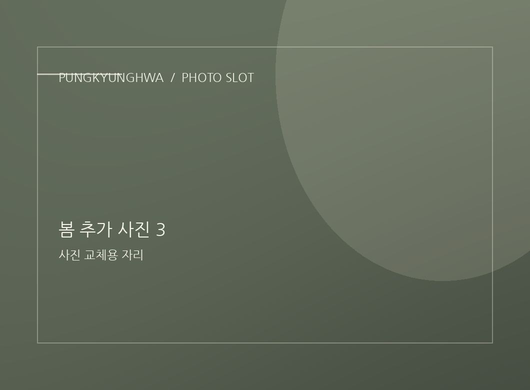 봄 추가 사진 1