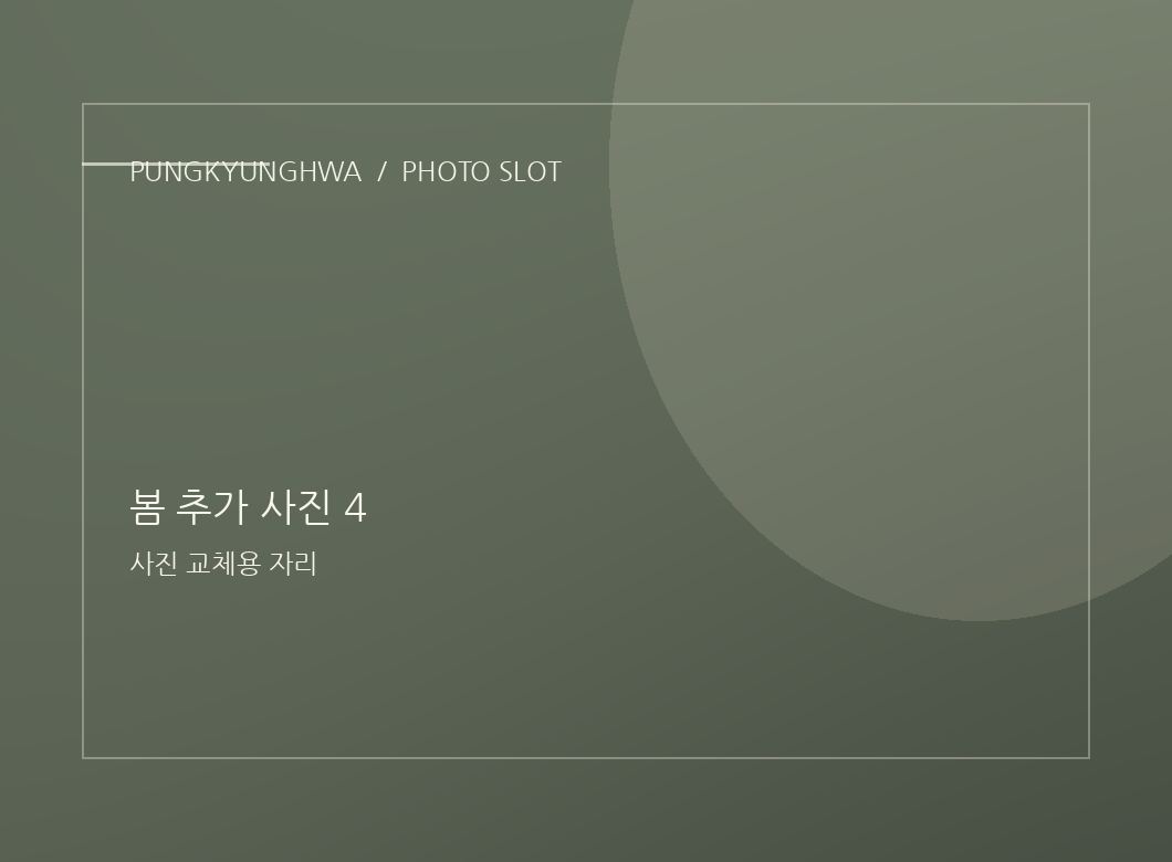 봄 추가 사진 2