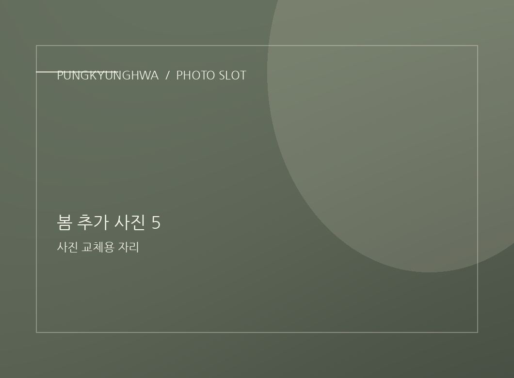 봄 추가 사진 3