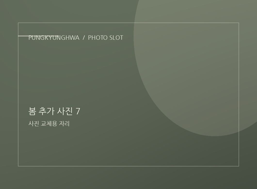봄 추가 사진 5