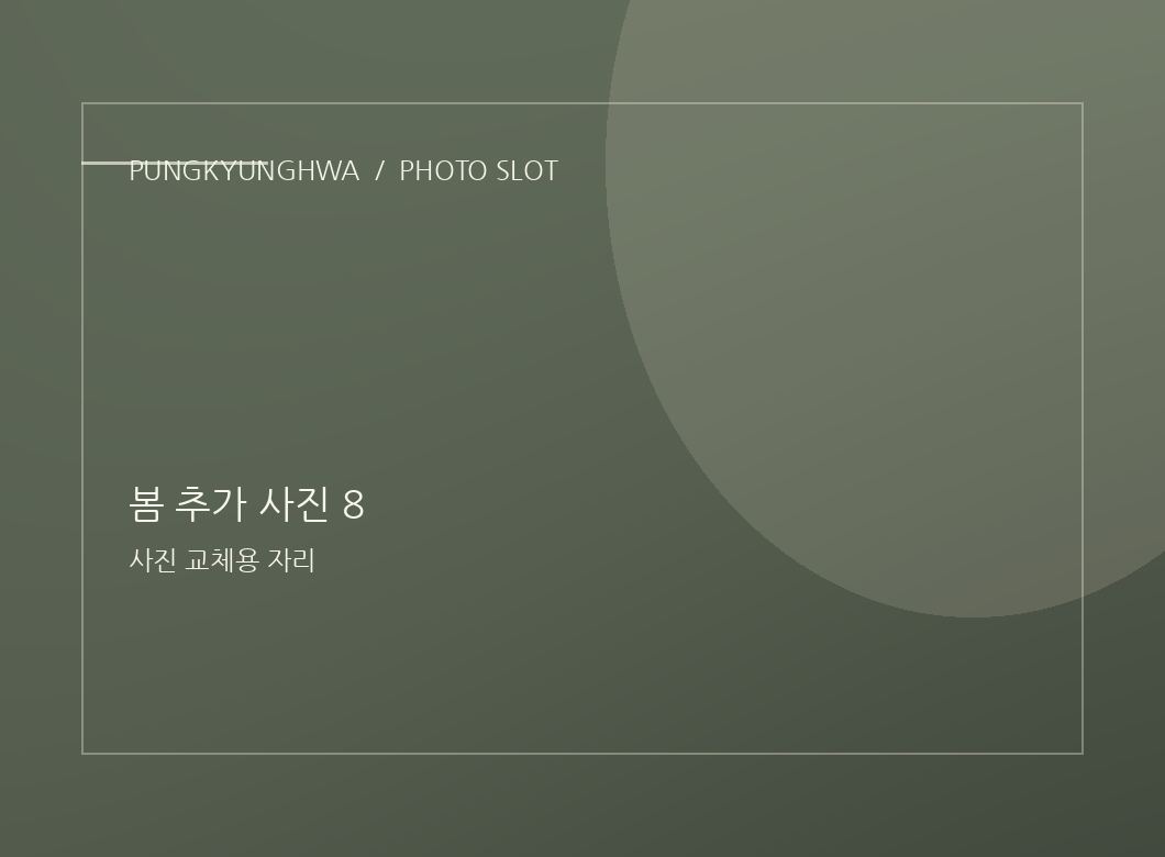 봄 추가 사진 6