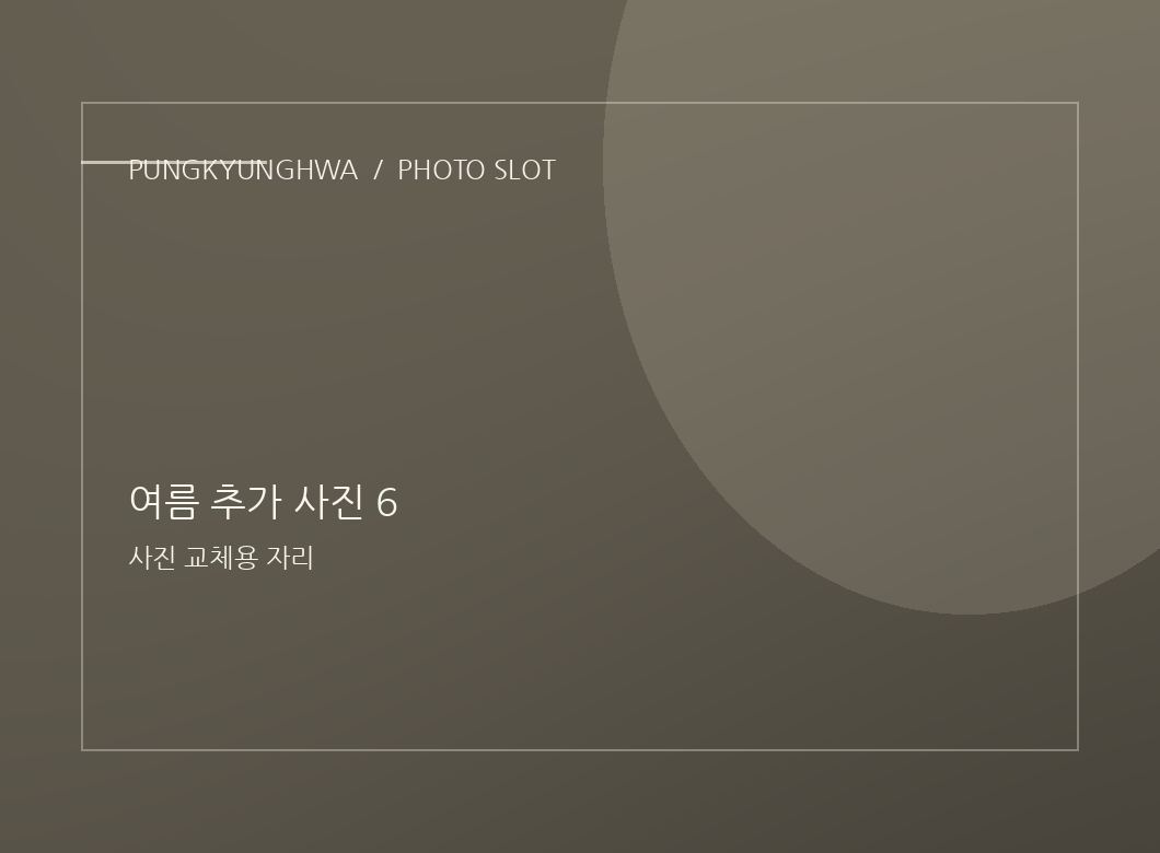 여름 추가 사진 4