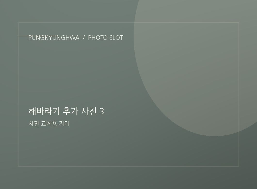 해바라기 추가 사진 1