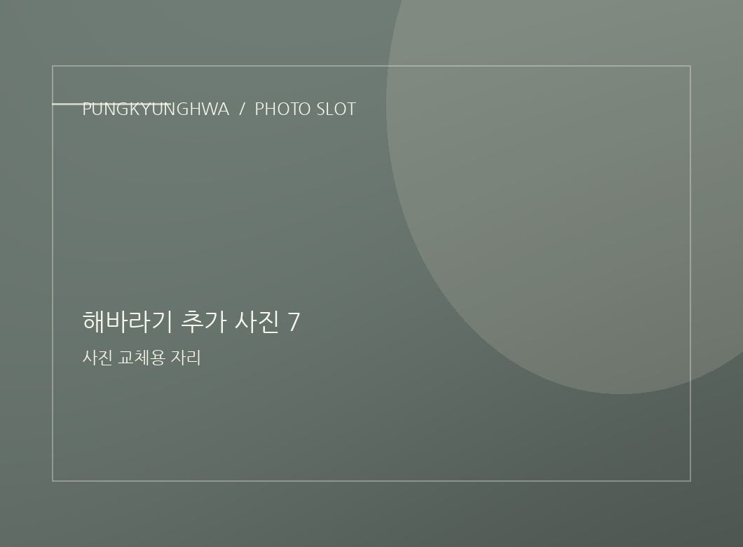 해바라기 추가 사진 5