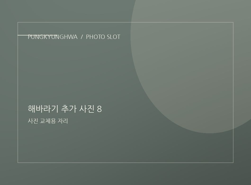 해바라기 추가 사진 6