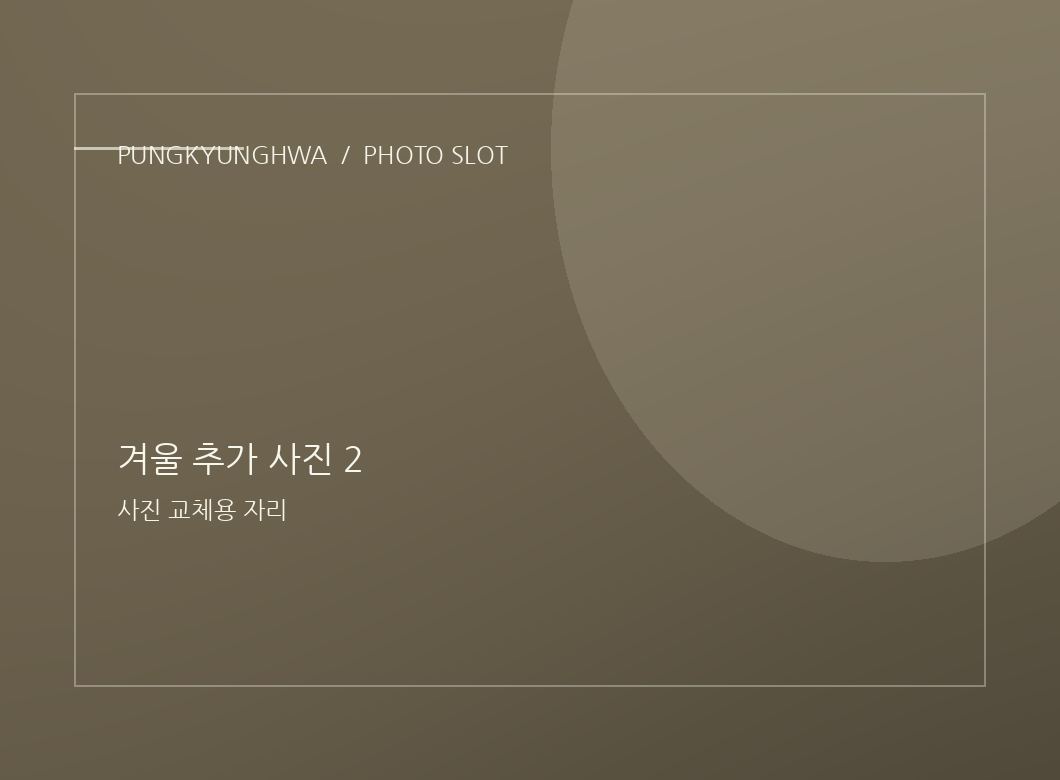 겨울 사진 3