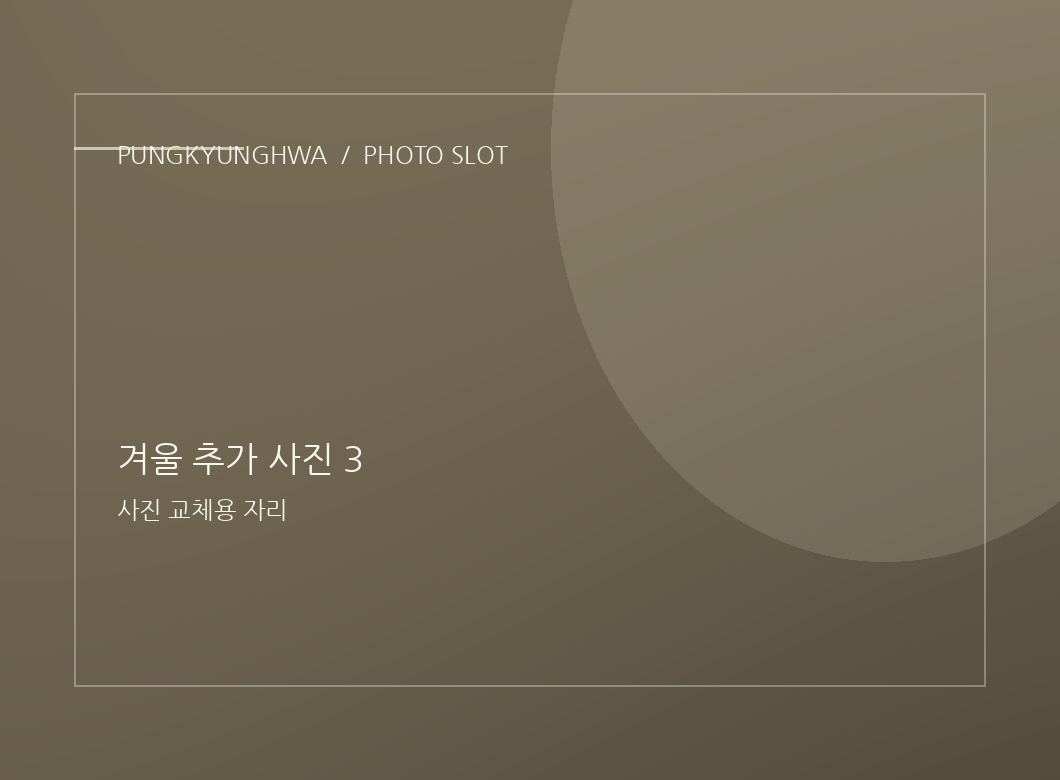 겨울 추가 사진 1