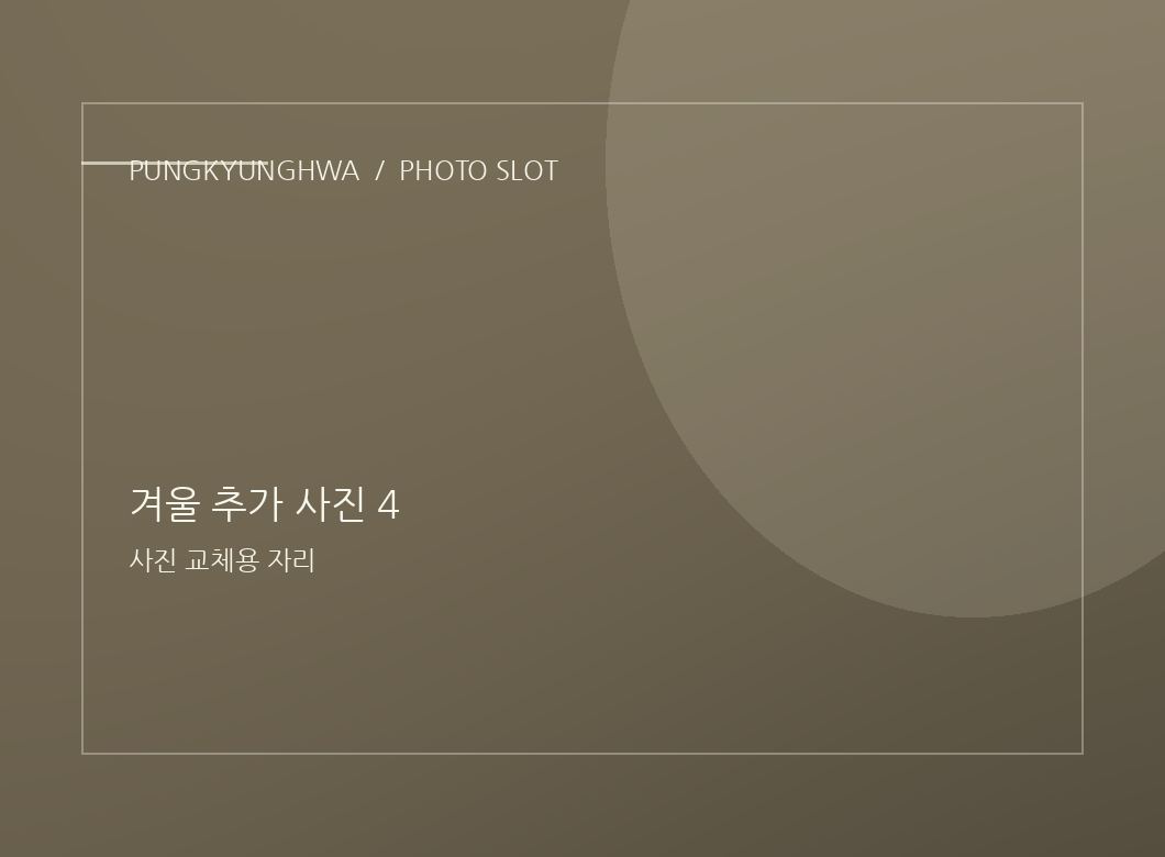 겨울 추가 사진 2