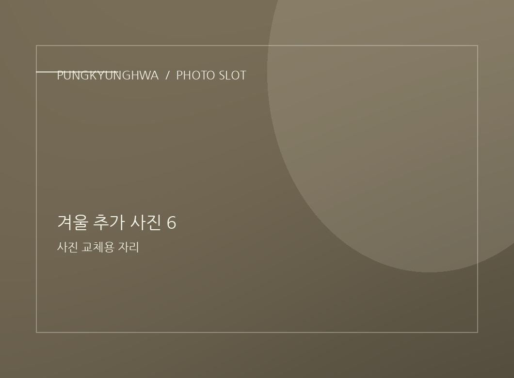 겨울 추가 사진 4
